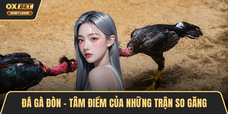 Đá gà đòn